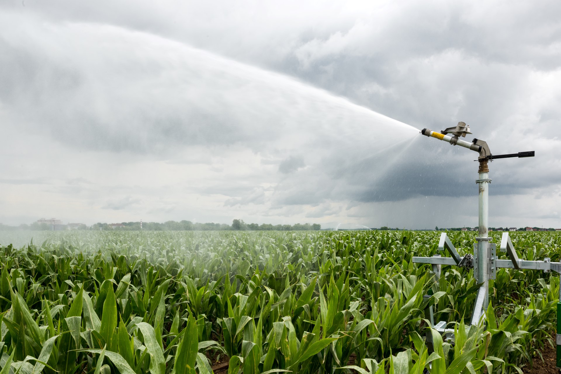 Namakalna sistema NemščakBeltinci in RakičanMuzge Projekti